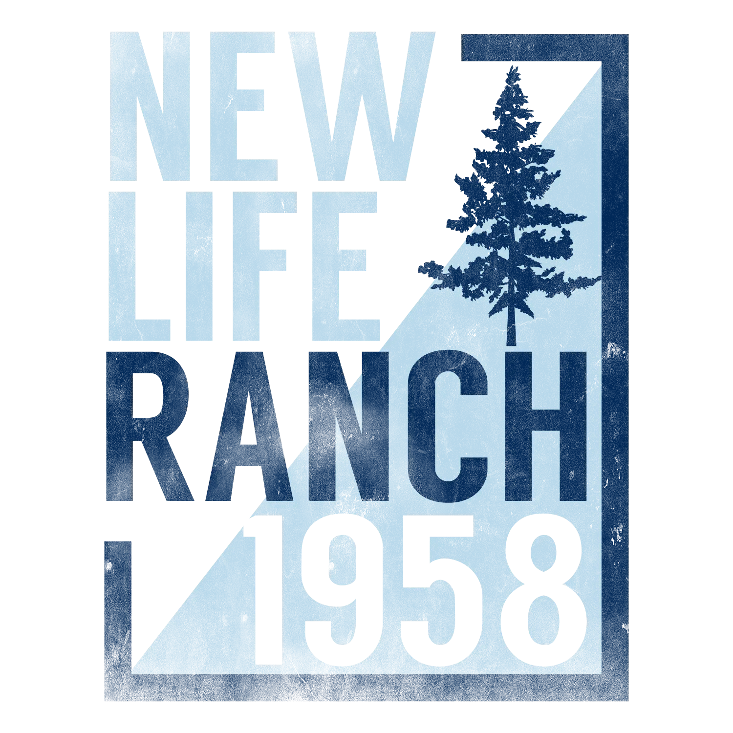 H1236